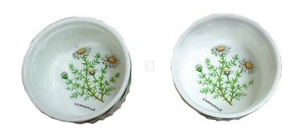 CERAMIC RAMEKINS - SET OF 2 IN HERB GARDEN DESIGN