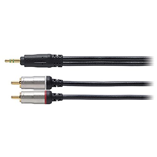 Audio-technica Goldlink Fine Pin &times; 2 - Stereo Mini 1.0m At561a/1.0
