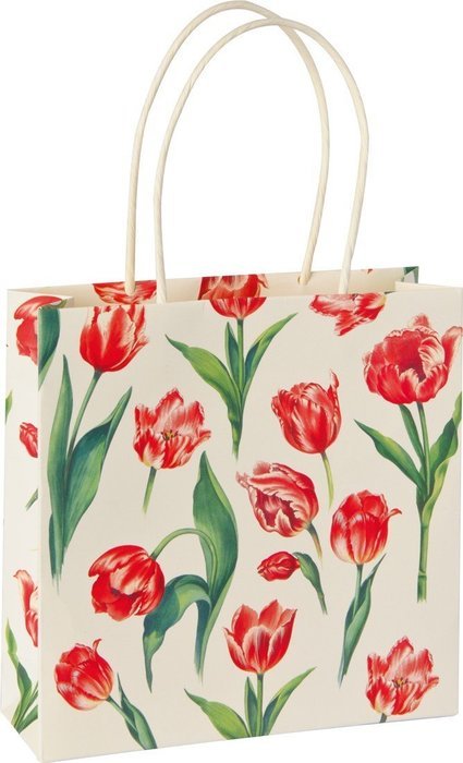 Boston International Gift Bags, Small, Winter Eddie, Pack of 12 N7