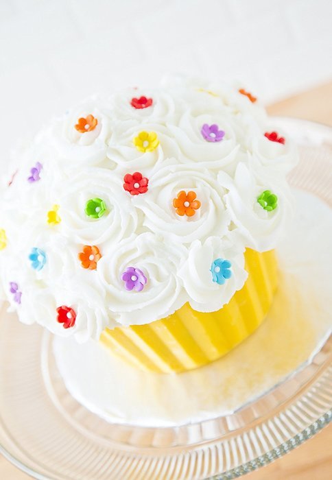 Giant Cupcake Pan N4