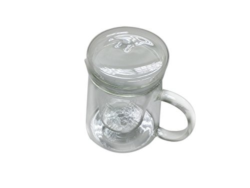 16 oz Upright Glass Teapot with Infuser and Lid N2