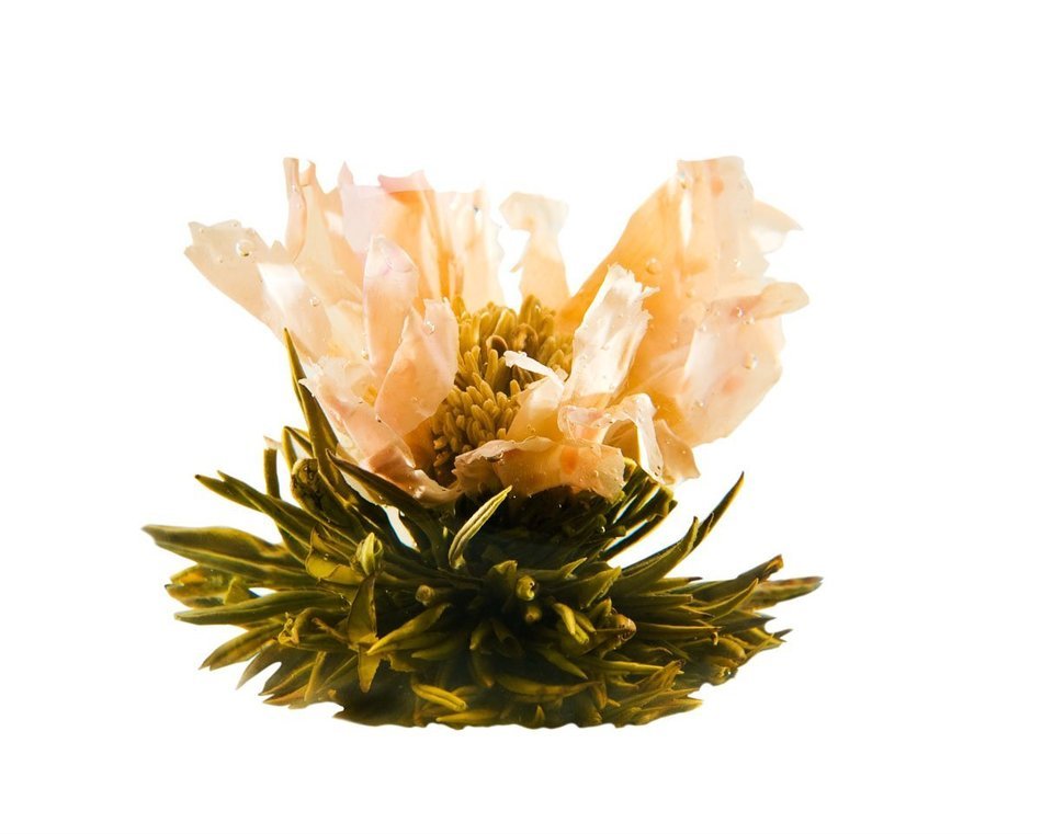 Tea gift Glass Teapot Duo, 16oz/470ml with Fab Flowering Tea (2 Blooms) N11