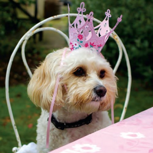 Meri Meri Party Hats, I'm A Princess - Crown N3