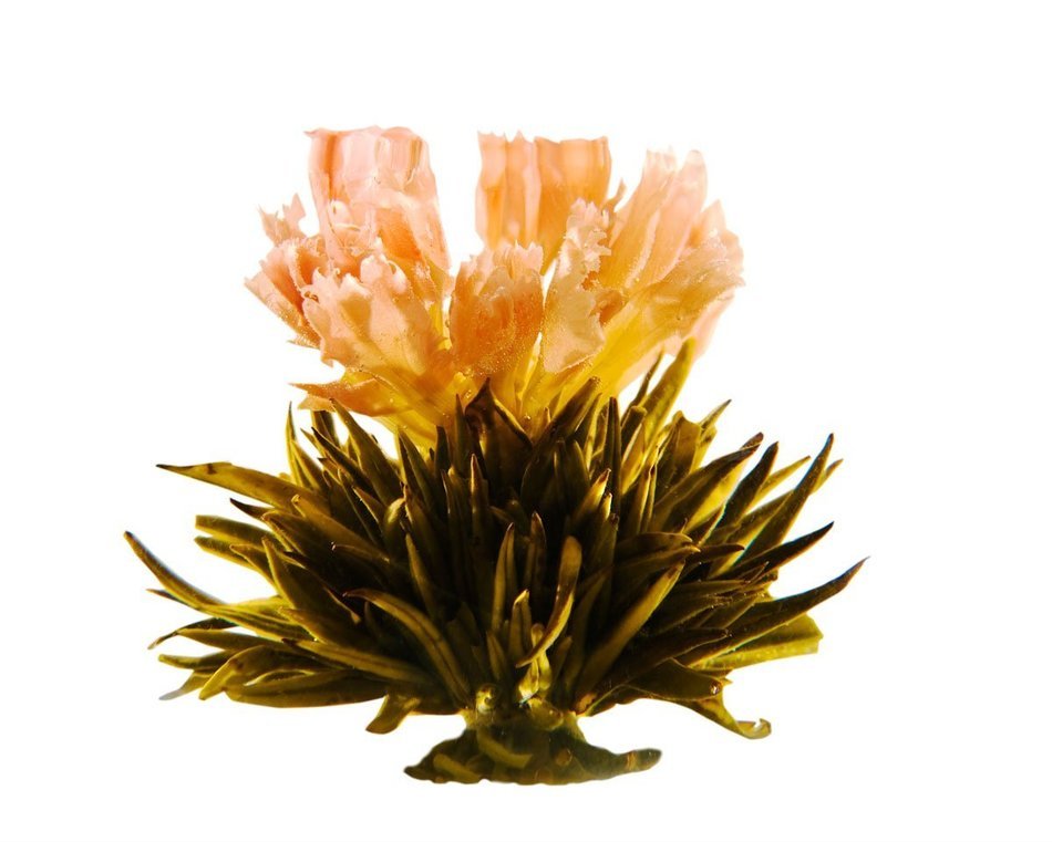 Tea gift Glass Teapot Duo, 16oz/470ml with Fab Flowering Tea (2 Blooms) N20