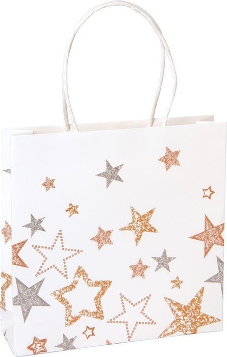 Boston International Gift Bags, Small, Winter Eddie, Pack of 12 N10