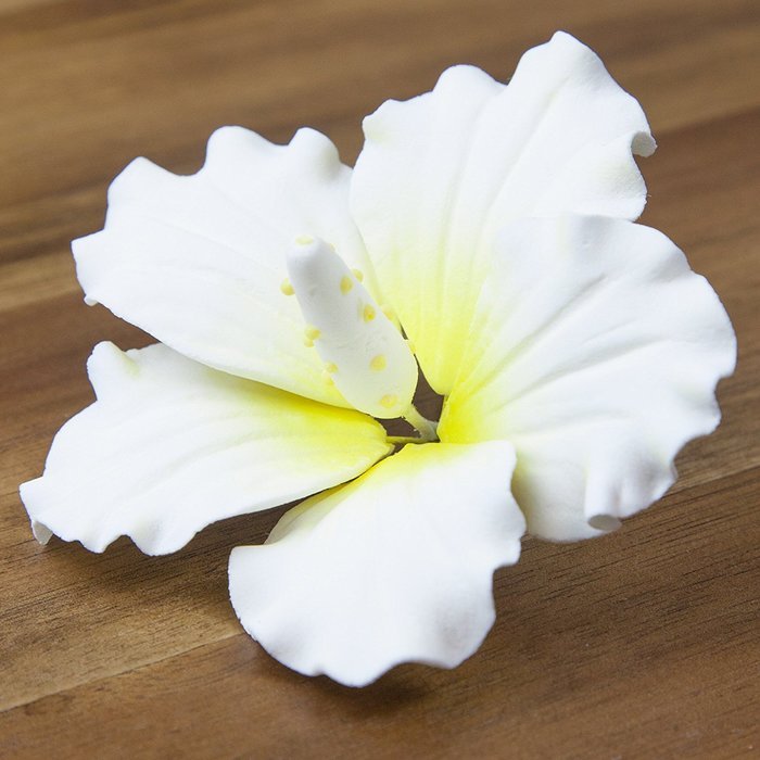 Hibiscus, White with Yellow, Large 9 Count by Chef Alan Tetreault