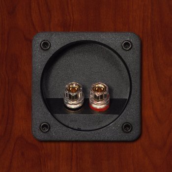 M60 Floorstanding Speaker - Boston Cherry N4