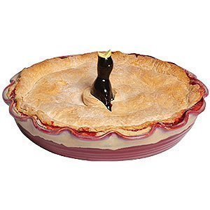 Foxrun 219 pie vent black bird