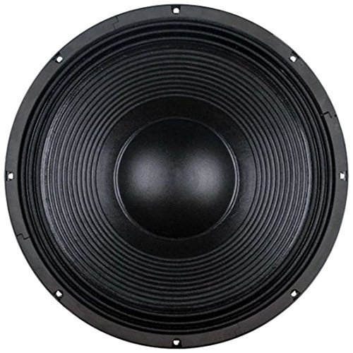 B&C 21IPAL 21-Inch 5000W Power Soft Woofer N2