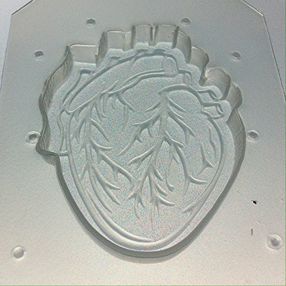 Flexible Resin or Chocolate Mold Anatomical Heart N3