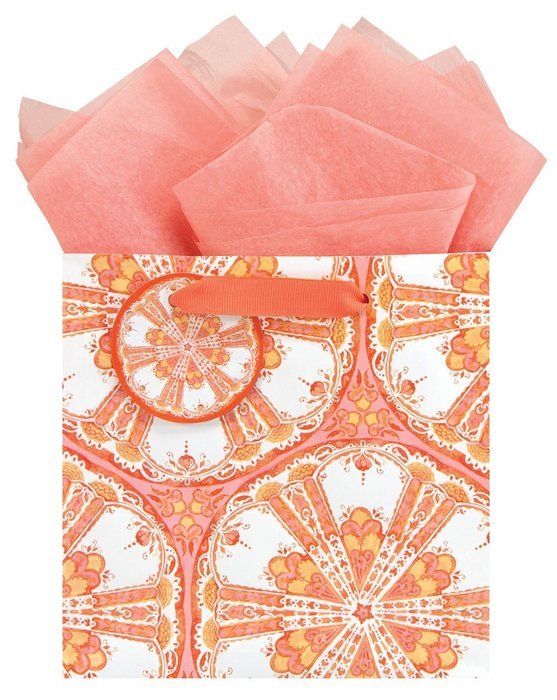 The Gift Wrap Company Ana Davis Truffle Gift Bags (Set of 6), Shield Coral, Multicolor N2