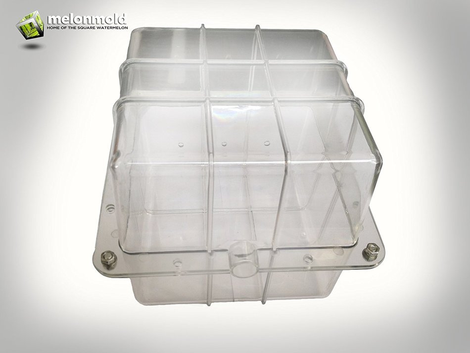 Melonmold Square Watermelon Mold for Making Cubed Watermelons N3