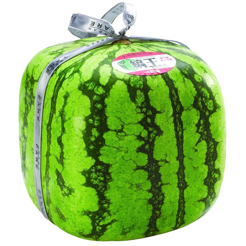 Melonmold Square Watermelon Mold for Making Cubed Watermelons N4