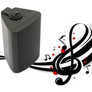 Visaton 2 Way Compact 100V Speaker 40w 8 Ohm Black [VS-WB10B]
