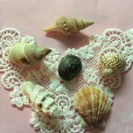 Shells 3D, Sea, Seascape, seashells Silicone Mold By Oh! Sweet Art FDA Approved for Food N3