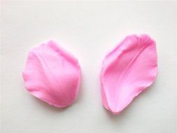 Wocuz W0047 Silicone Leaf Petal Veiner Sugar Craft Tools Fondant and Gum Paste Mold