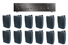 Large Restaurant/Bar/Retail Store Business Background Music Sound System- Amp, 12 Surface Speakers +