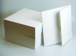 White Cake Box - 10 Inch Square