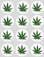 12 Cannabis leaf GREEN design rice paper fairy / cup cake 40mm toppers pre cut decoration