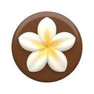 SpinningLeaf Plumeria Sandwich Cookie Mold N3