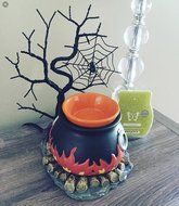 scentsy hocus pocus warmer