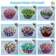 Ternola - RUSSIAN PIPING TIPS + E-GUIDE - Set of 31PCS for Cakes/Cupcakes Flower Decoration (9 Nozzles +1 Leaf... N5