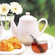 Stainless Steel Tea Infuser / Long Handled Hook Cylindrical Loose Tea Leave Strainer, MyGift