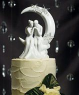 Weddingstar Written in the Stars Bride and Groom Couple Figurine for Cakes