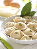 Pelmeni Maker Metal Mold New N3