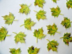 32 Yellow Green Fall Maple Leaf Decorative Wafer Paper Leaves&copy; Very Small 0.75&quot; Size Cake Decorations Cupcake... N2
