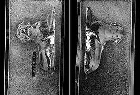 Cybrtrayd Labrador Retriever Chocolate Candy Mold