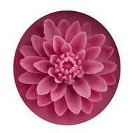 Let'S Diy Snow Lotus Styling Silicone Mold Fondant Chocolate Soap Mould Cake Decorator Tools Sugar Craft Bakeware N3
