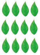 PRE-CUT LARGE FLOWER LEAF FLAT EDIBLE RICE / WAFER PAPER CUP CAKE TOPPERS PARTY DECORATION