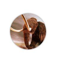 Generic Design With Elephant Funny Cup Mat Made By Mdf