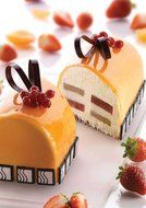 Silicone Log (Buche) Freezing and Baking Mold - 220x60mm x 50mm High