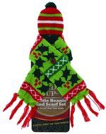 Bundle Up Green Snowflake Design Beanie and Scarf Bottle Cozy