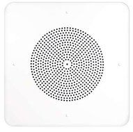 SPECO G86TG1X1 1'x1' G86 Ceiling Tile speaker