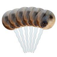 Set of 6 Cupcake Picks Toppers Decoration Animals - Sloth Face N6