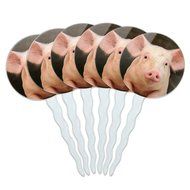 Set of 6 Cupcake Picks Toppers Decoration Animals - Sloth Face N11