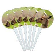 Set of 6 Cupcake Picks Toppers Decoration Animals - Sloth Face N13