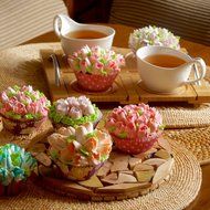 Ternola - RUSSIAN PIPING TIPS + E-GUIDE - Set of 31PCS for Cakes/Cupcakes Flower Decoration (9 Nozzles +1 Leaf... N8