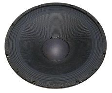 Replacement woofer for JBL JRX, TRX and Sound Factor cabinets N2