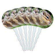 Set of 6 Cupcake Picks Toppers Decoration Animals - Sloth Face N17