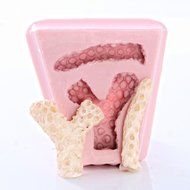 Coral Silicone Mold Food Safe Fondant, Chocolate, Candy, Resin, Polymer Clay, Craft, Jewelry Food Mold. N2