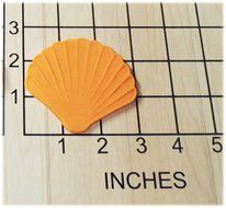 Sea Shell Shaped Fondant Cookie Cutter and Stamp #1144 N2