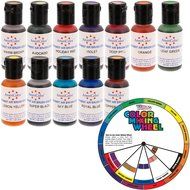 AmeriColor Amerimist Student Kit Air Brush Food Color 12 Pack Kit N2