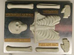 Large Skeleton (top half) H102 Halloween Chocolate Candy Mold