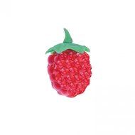 Fat Daddio's PCMM-33 Berry Shape Magnetic Polycarbonate 6-Piece Chocolate and Candy Mold Making Tray N3