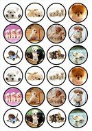 Puppies Dog Edible PREMIUM THICKNESS SWEETENED VANILLA, Wafer Rice Paper Cupcake Toppers/Decorations