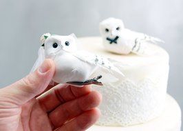 Snowy Owl Cake Topper in Winter White: Rustic &quot;Bride and Groom&quot; Love Bird Wed... N2